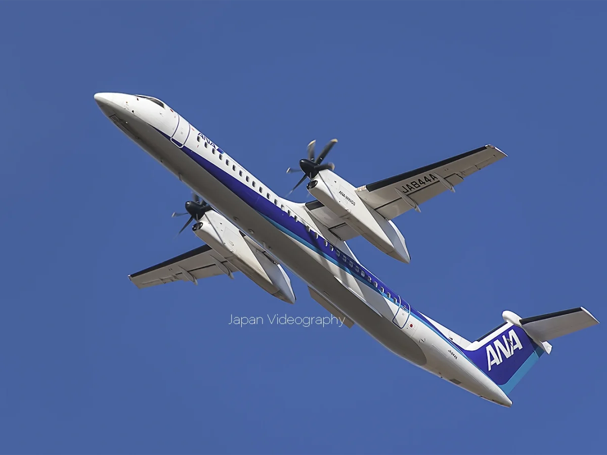 デジタル一眼レフカメラ Nikon D7500の実写レビュー・評価 | カメラ