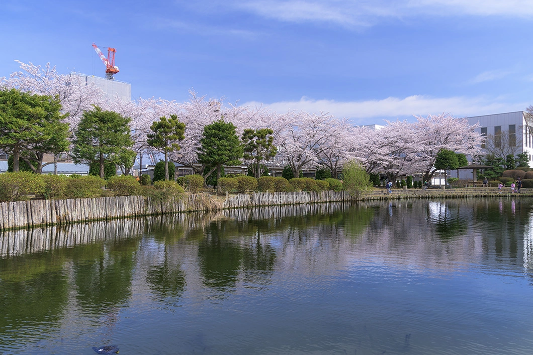 補正ブラシを使用して部分的に明るさを変える-Adobe Lightroom Classic CC