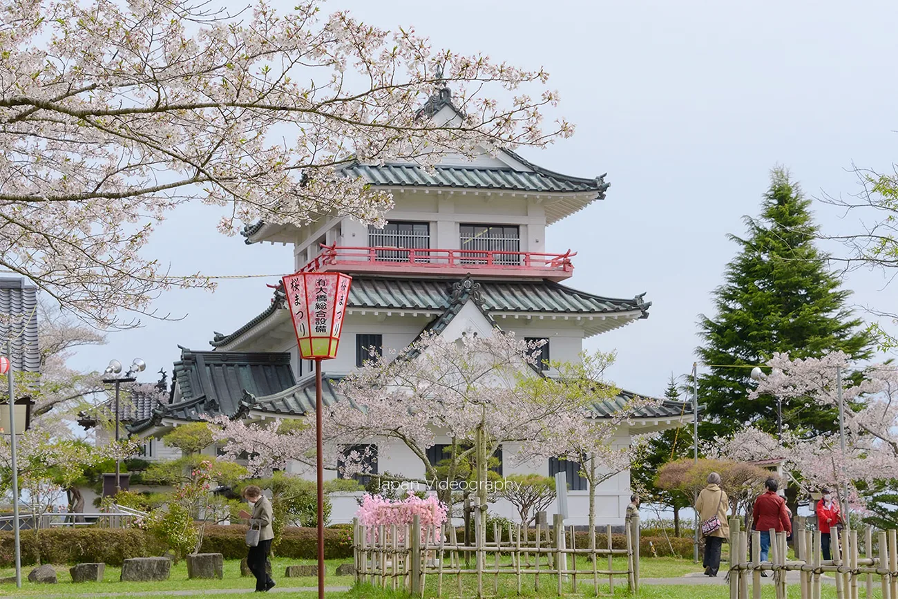 夜桜も美しい桜名所 涌谷城址 城山公園 わくや桜まつり｜宮城県涌谷町