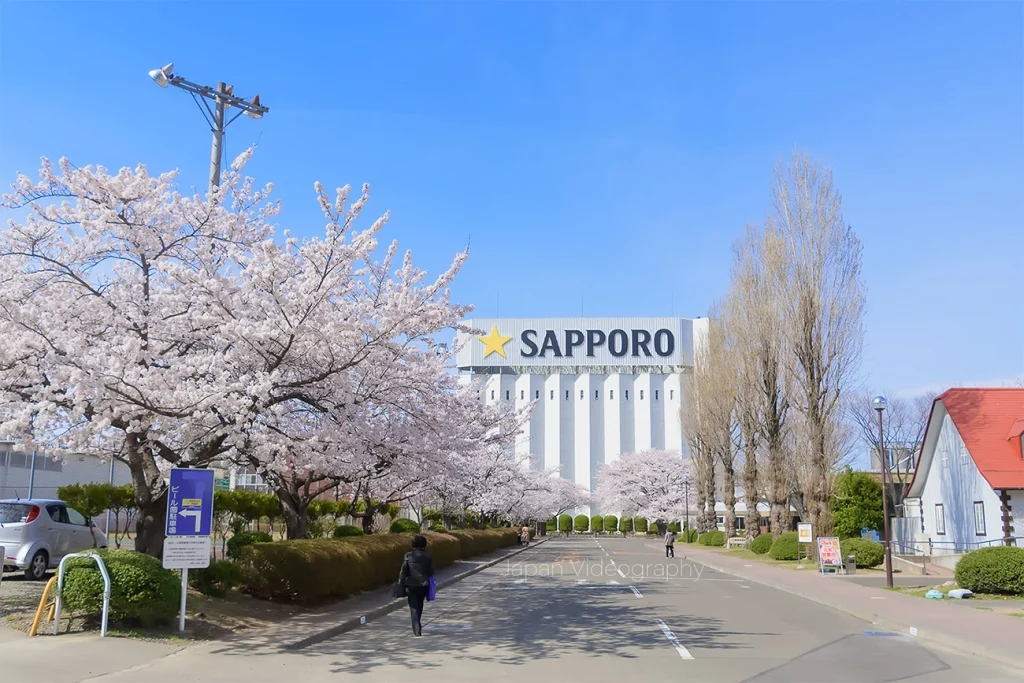 名取駅前のお花見スポット！サッポロビール仙台工場 ビオトープ園の桜｜宮城県名取市