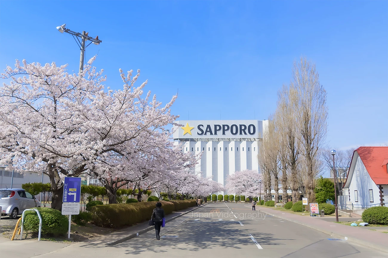 【閉園】名取駅前 サッポロビール仙台工場 ビオトープ園の桜｜宮城県名取市