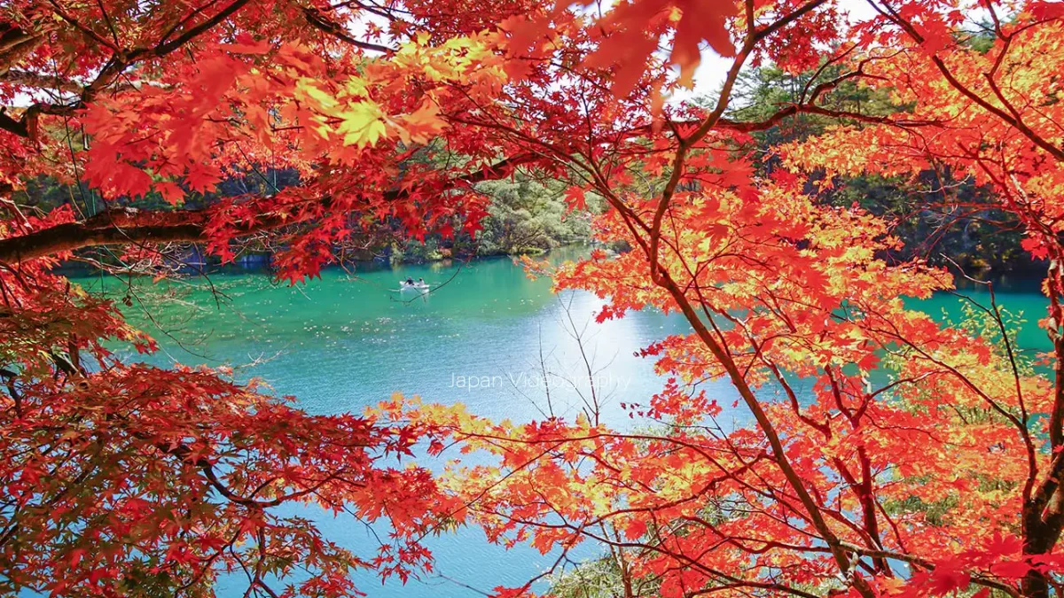 日本画家　松本　栄　福島県出身　五色沼の秋 日本画家 松本 栄 福島県出身 五色沼の秋 【公式通販】
