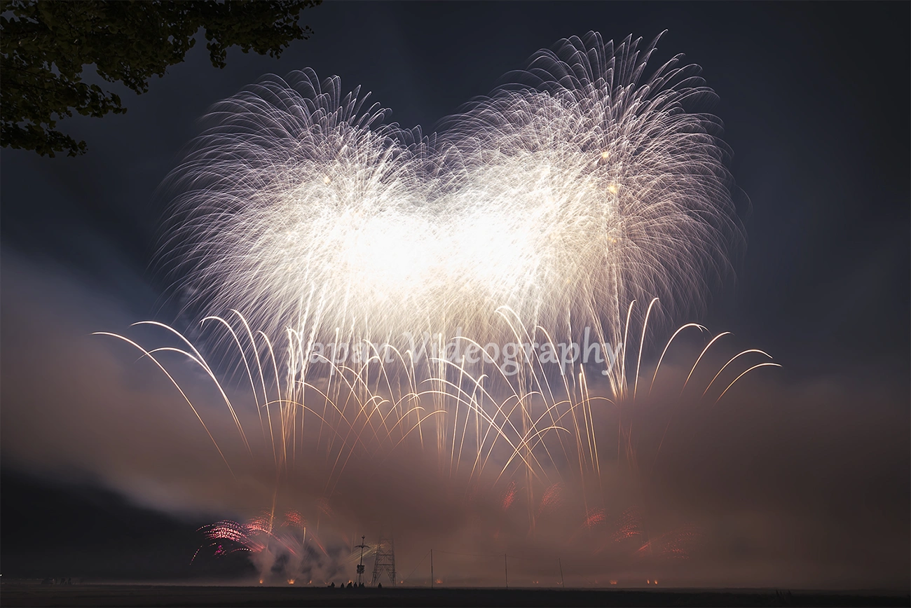 いわせ悠久まつり大花火大会-秋の夜空を彩る美しい花火 | 福島県須賀川市