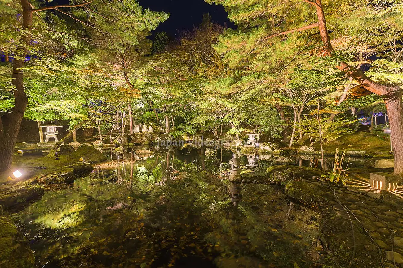 天守閣自然公園の幻想的な紅葉ライトアップ！秋保ナイトミュージアム｜宮城県仙台市