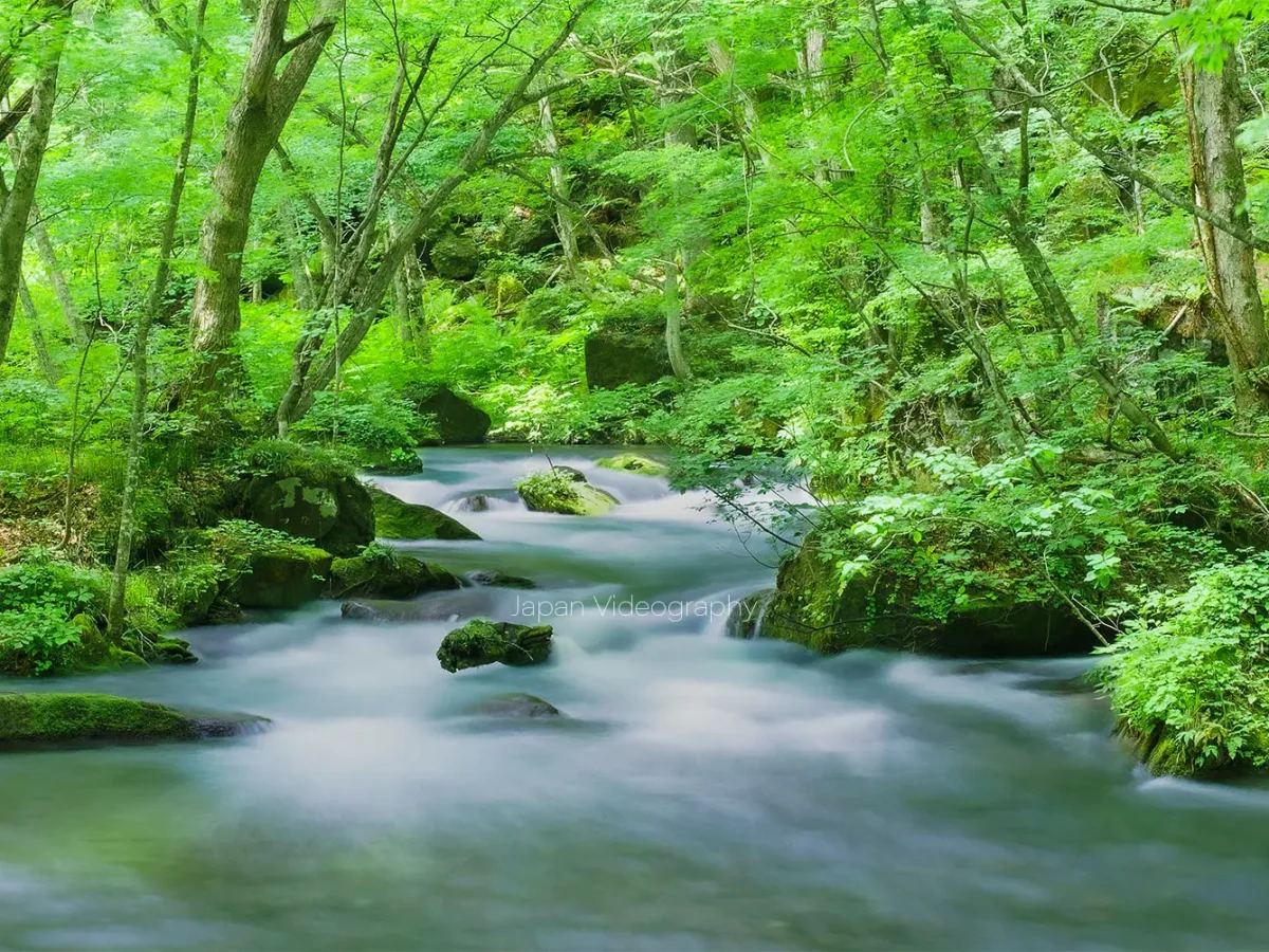 青森県十和田湖奥入瀬渓流 十和田湖・奥入瀬渓流の魅力 ～深呼吸したくなる十和田湖・奥入