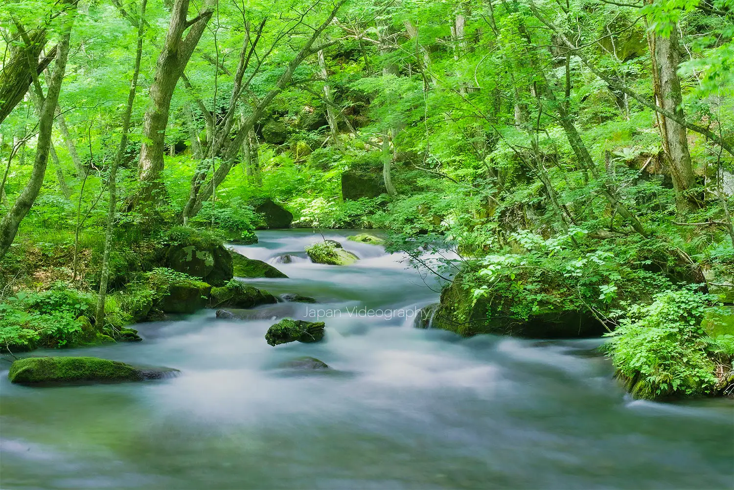 日本一の渓流美！奥入瀬渓流の美しい風景と癒しの散策路｜青森県