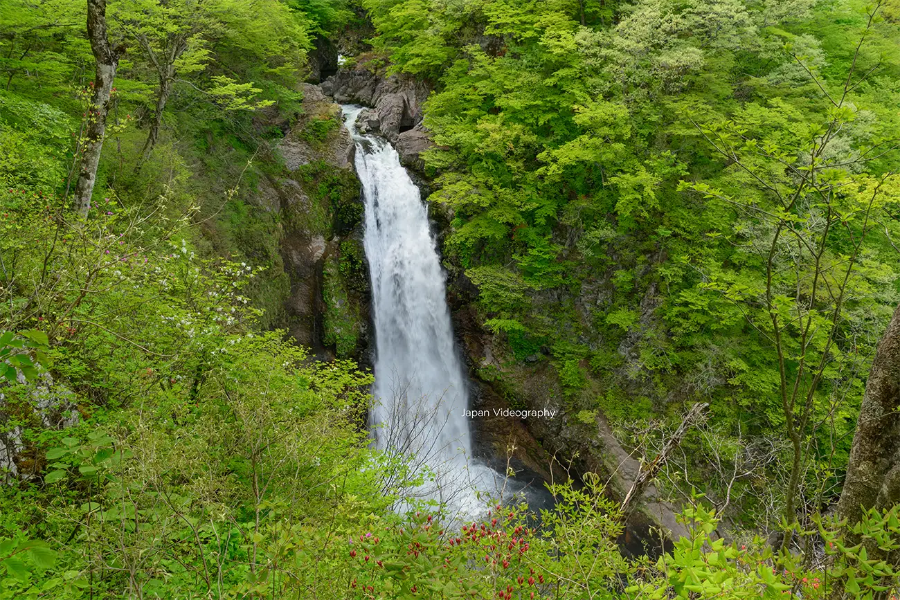 四季折々の風景が美しい仙台の観光名所、秋保大滝｜宮城県仙台市