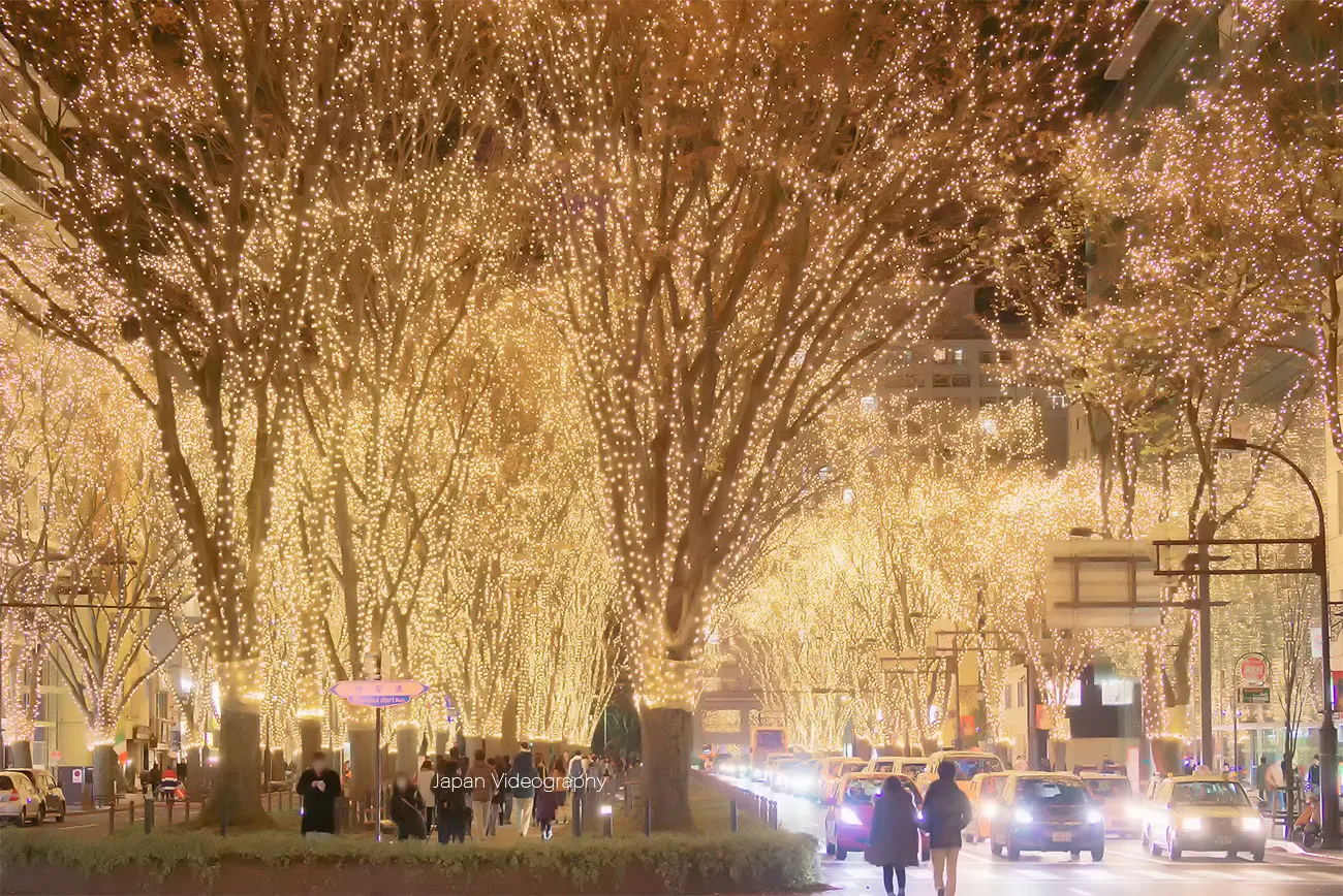 定禅寺通り SENDAI光のページェント