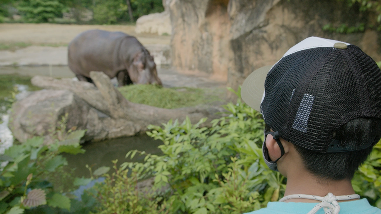 仙台八木山動物公園 ドリームナイト・アット・ザ・ズー 2022
