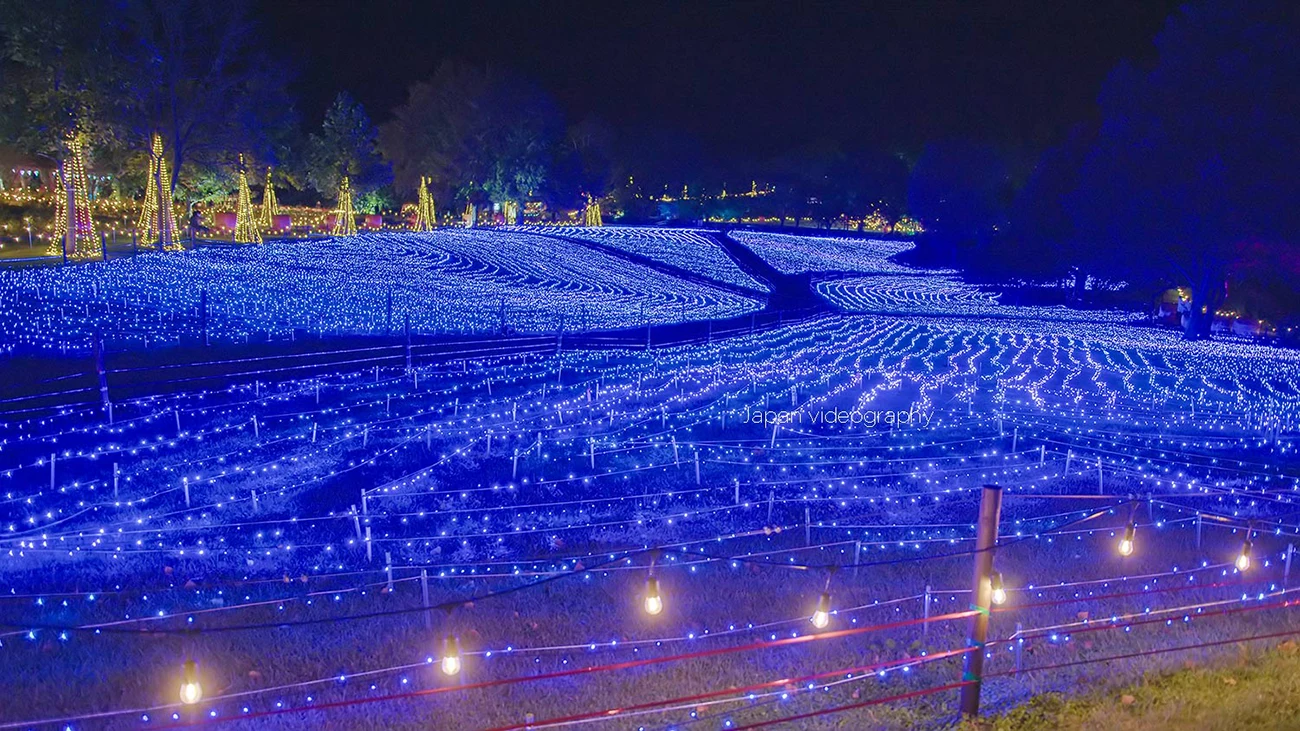 やくらいガーデン ライトアップ 星あかり