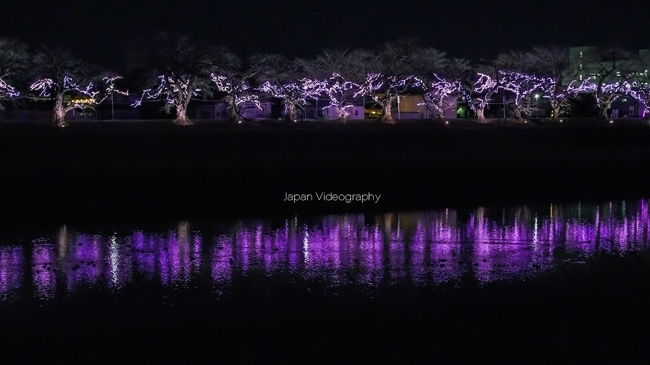 おおがわら桜イルミネーション 対岸からの風景