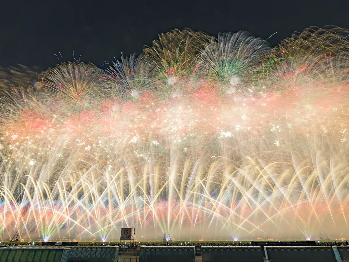 第97回全国花火競技大会 大曲花火 レジャーシート席 4名 11ブロック 4