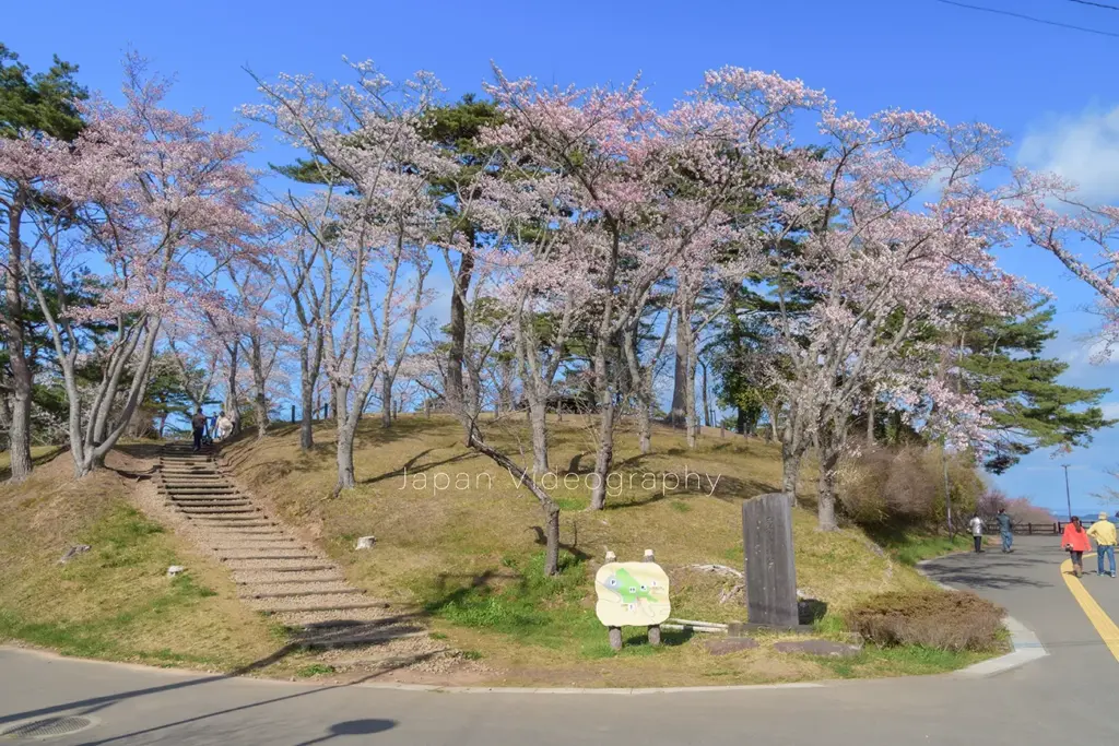 松島 西行戻しの松公園展望台