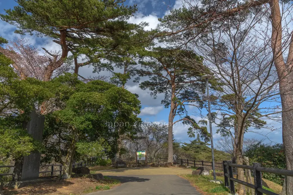 日本三景松島 西行戻しの松公園 松の木