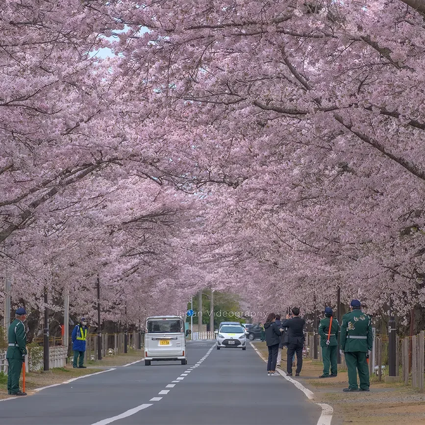 yono-mori-867x867.webp