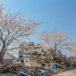 宮城県仙台市蒲生地区に咲いた桜