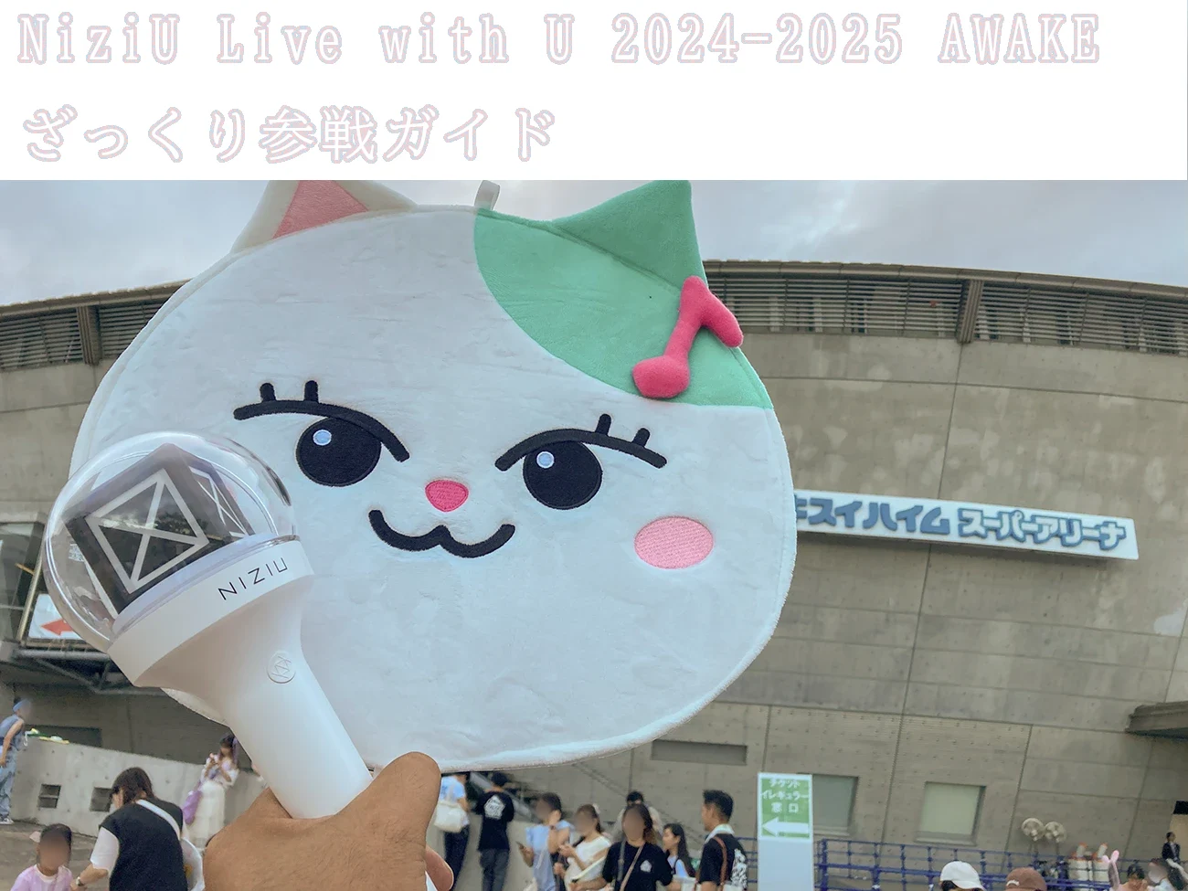 niziu2024-2025.webp