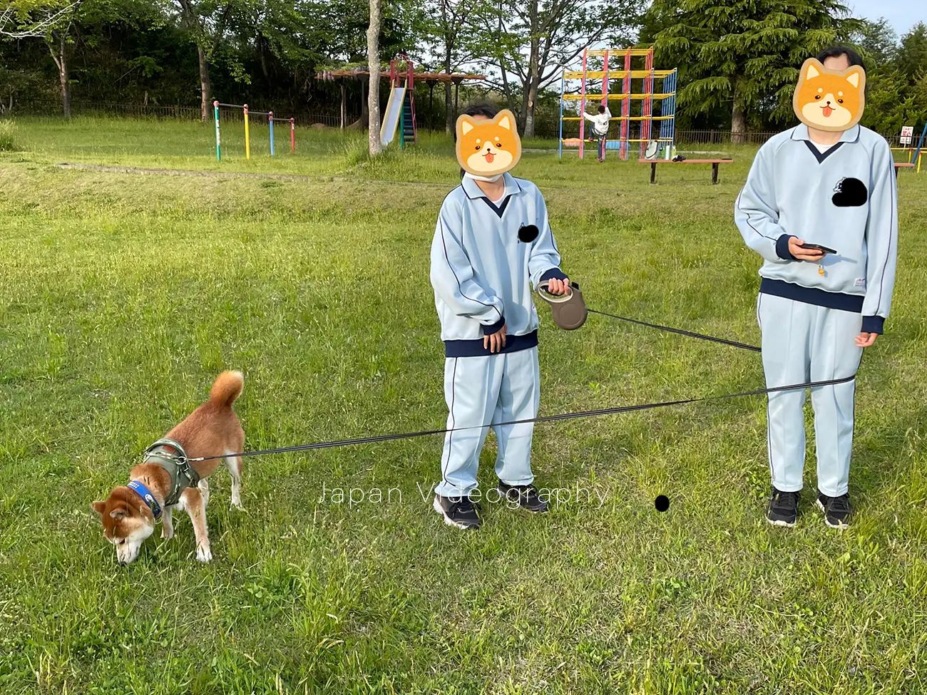 柴犬りゅうのすけの散歩を担当する姉妹を撮った公園での写真