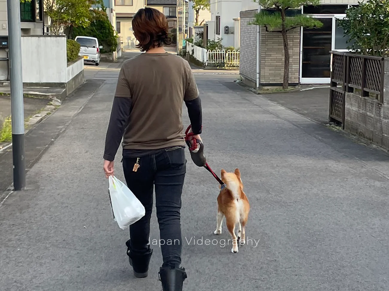 散歩中の柴犬りゅうのすけと飼い主の画像