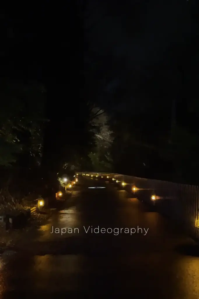 ムーミンバレーパークのライトアップ
