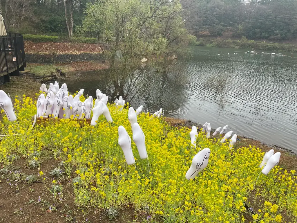 ムーミンバレーパーク 菜の花とニョロニョロ