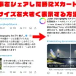 WordPressサイトの記事をXでシェアした時にカードを大きく表示する方法
