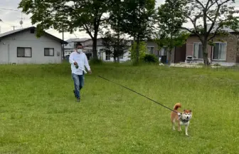 柴犬のリュウノスケと散歩をしている飼い主の写真