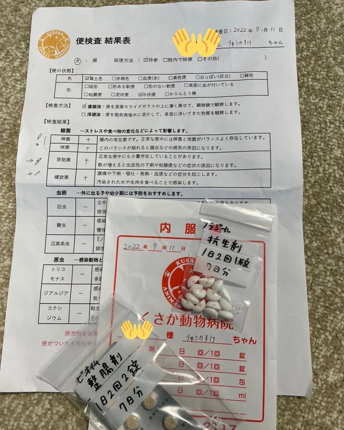 柴犬のりゅうのすけが病院で商法してもらった薬