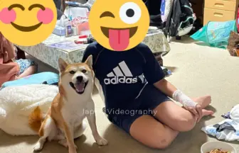 笑顔で座っている柴犬の龍之介