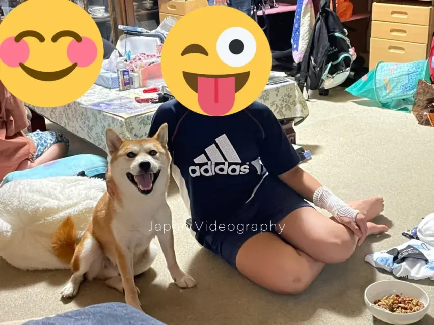 笑顔で座っている柴犬の龍之介