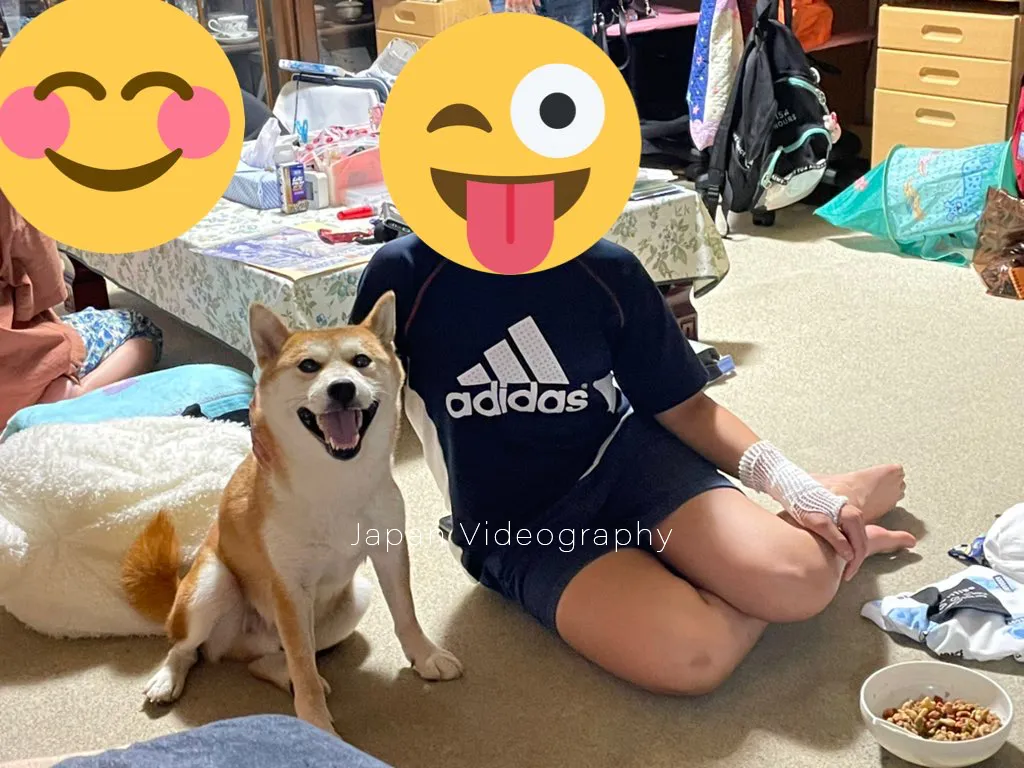 笑顔で座っている柴犬の龍之介