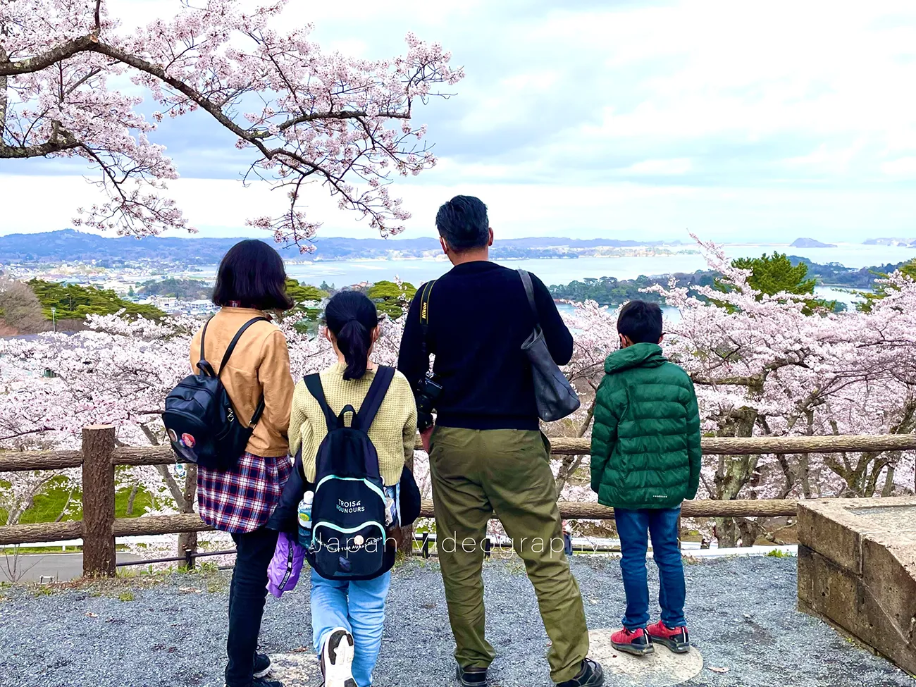 柴犬龍之介の新しい人間の家族