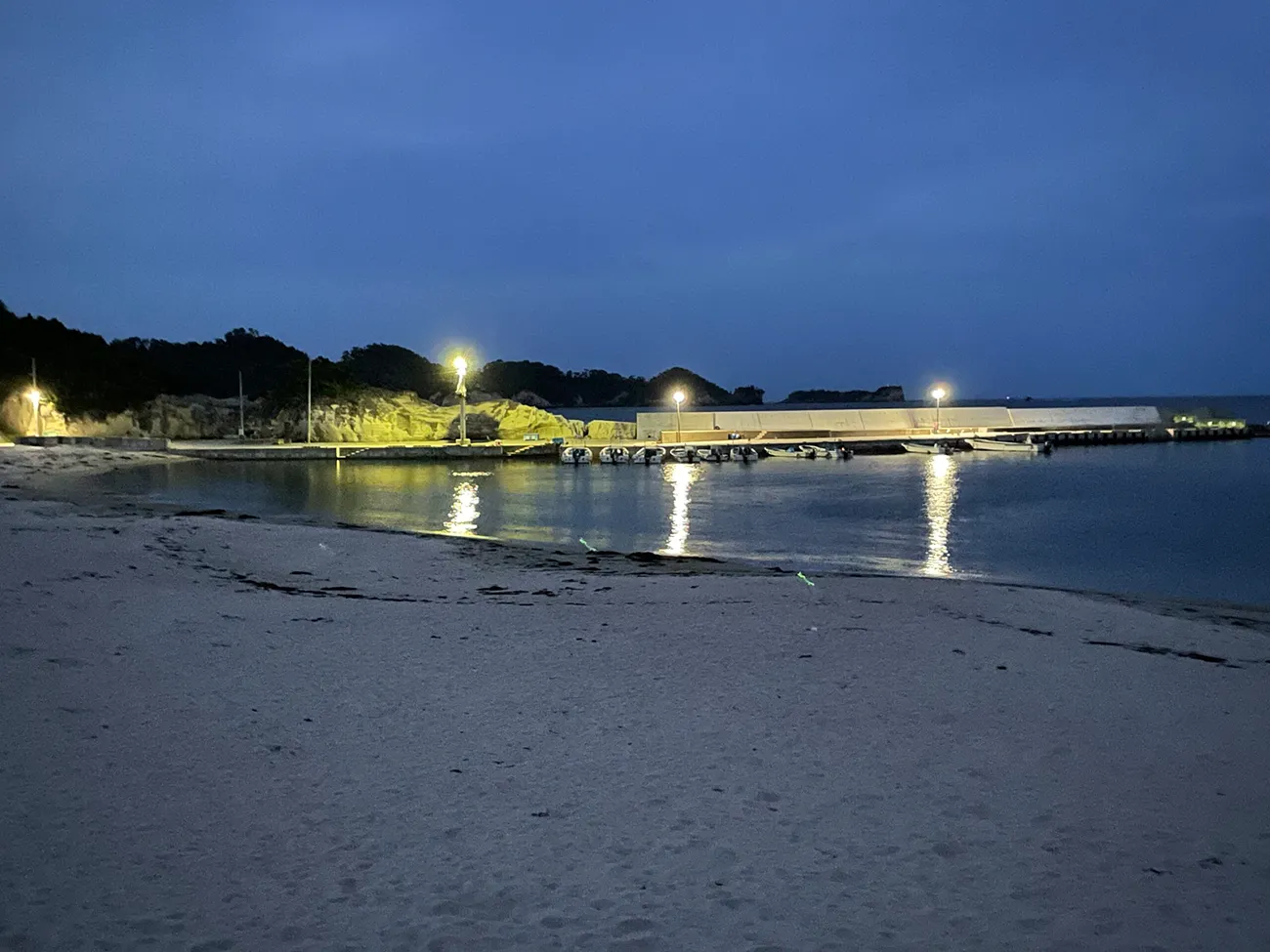 夜の奥松島 月浜の風景
